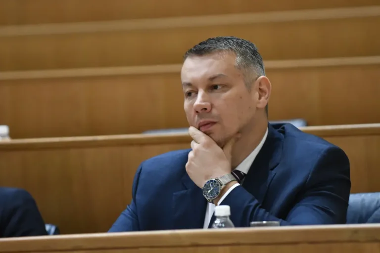 Nenad-Nesic-parlament-BiH-NG